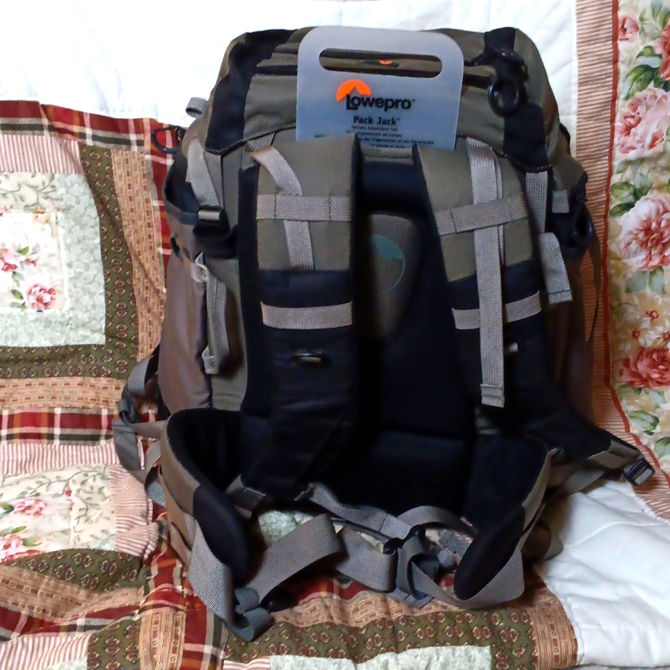 Lowepro Camera Accessories Backpack